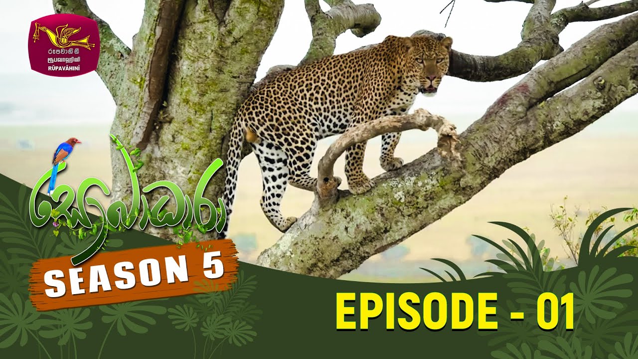 SOBADHARA - SEASON 05 | EPISODE -01 | 2023-05-13 | INTRODUCTION