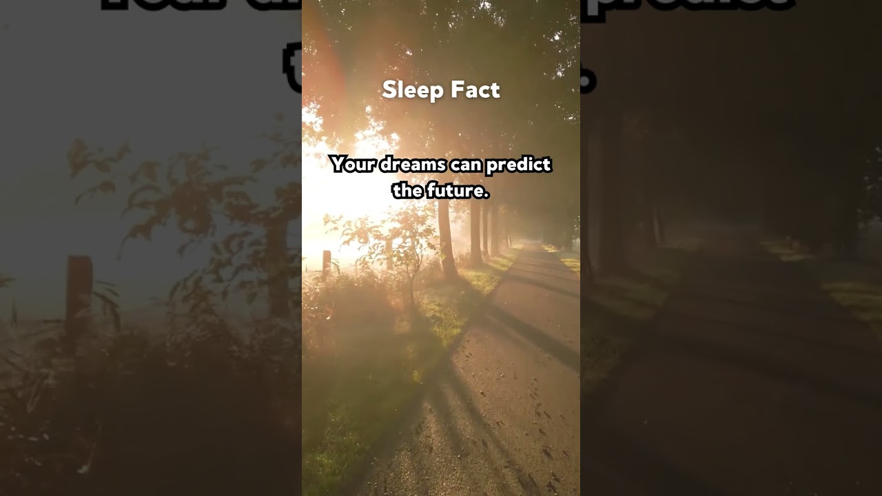 Crushes 101: What You Need to Know About Attraction!