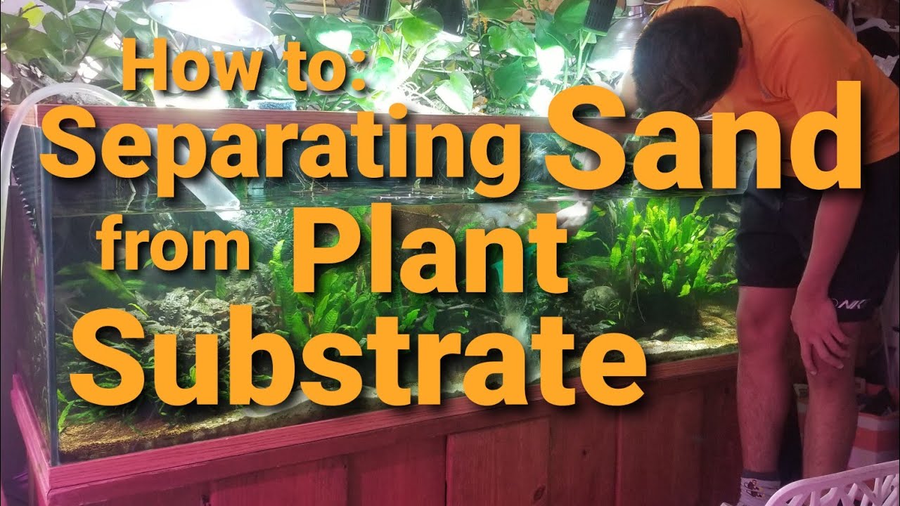 How to: Separate Sand from Plant Substrate