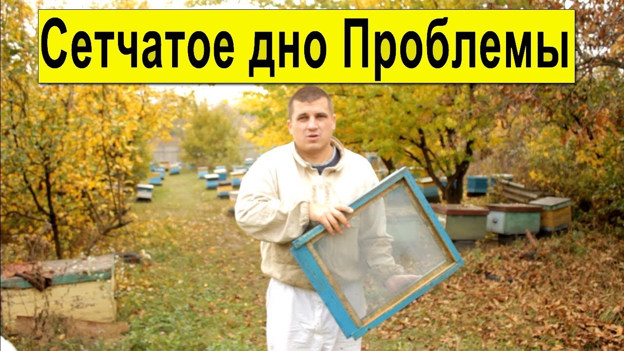 Что случилось с сетчатым дном? Лента для перевозки ульев Отзыв