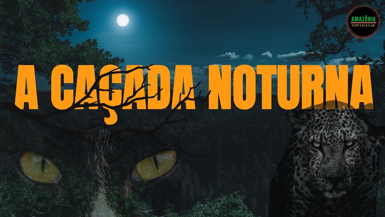 Predadores Noturnos