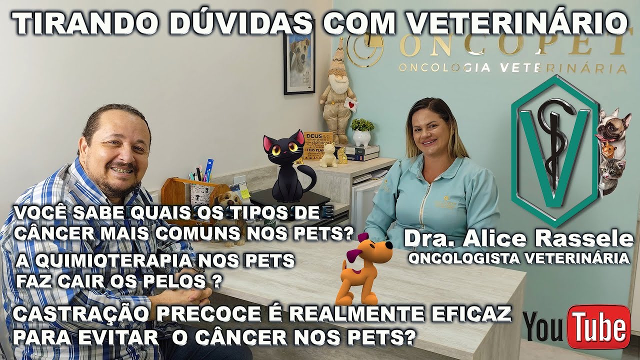 Dra. Alice Rassele Med. Vet. e Oncologista - Câncer mais comuns em cãe e gatos e como tratar.