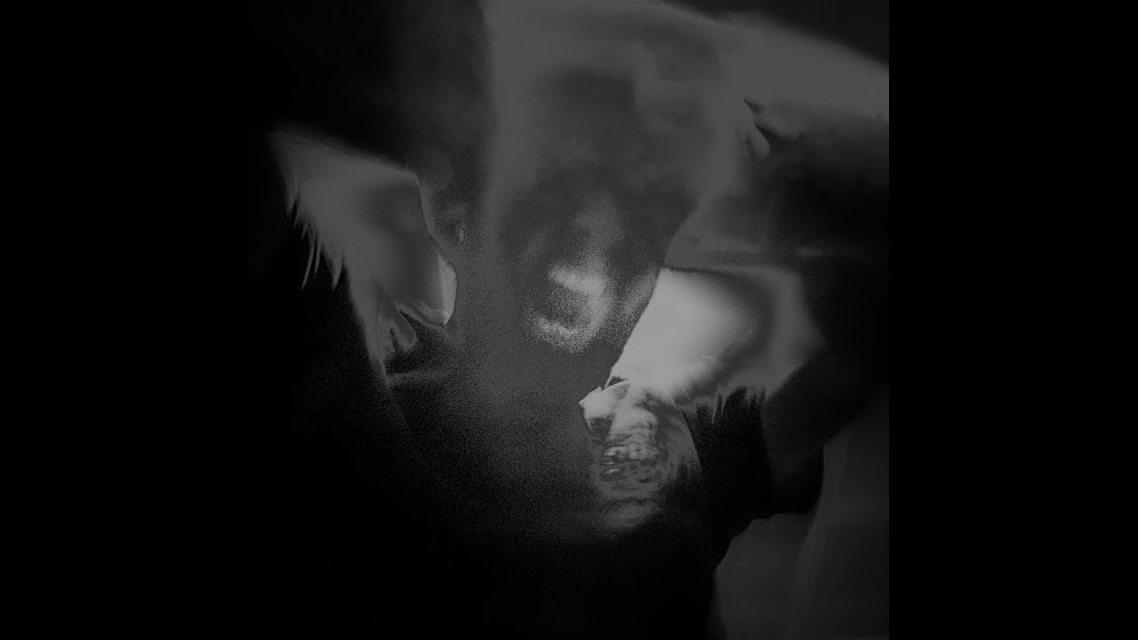 Wings Denied - Lifebroker