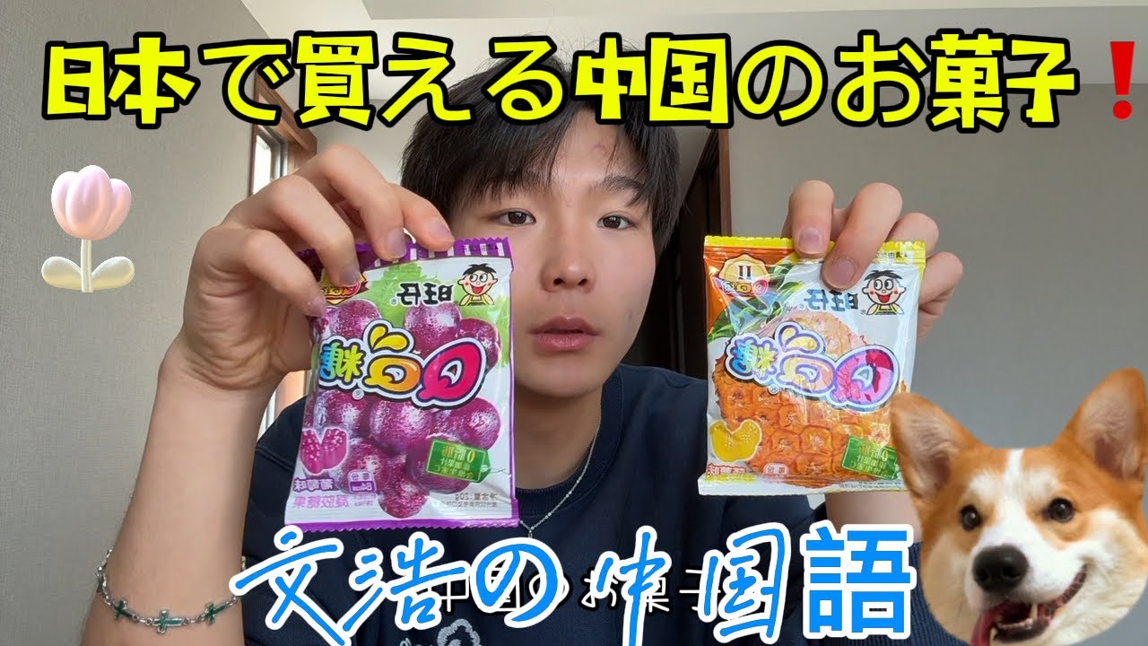 日本で買える中国のお菓子❗️