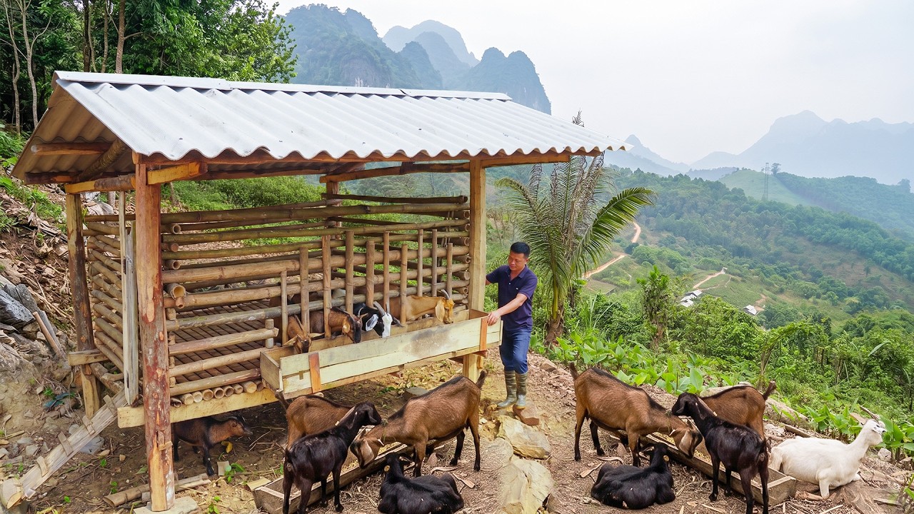 The busy life of a retired teacher on the rocky plateau after two months away from the classroom