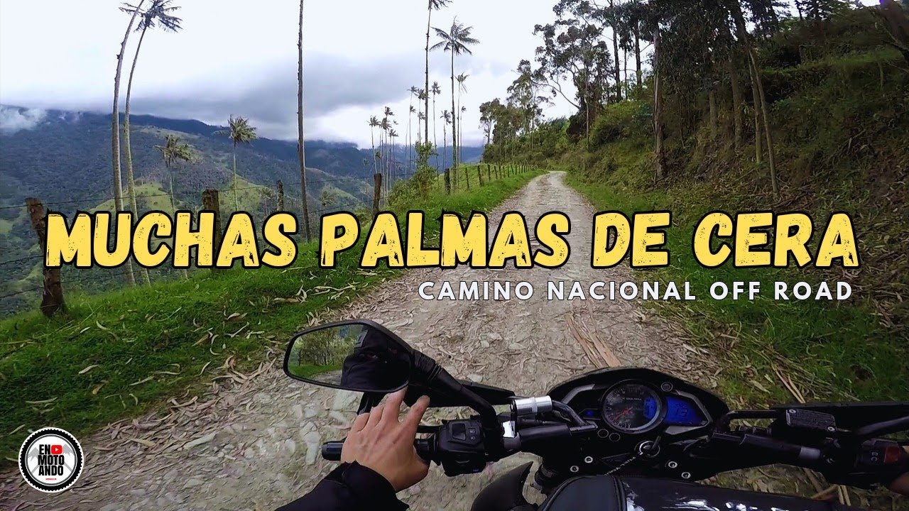 Ruta de Toche a Salento | Santuario Palma de Cera EP 4 | Pulsar NS200 | T2