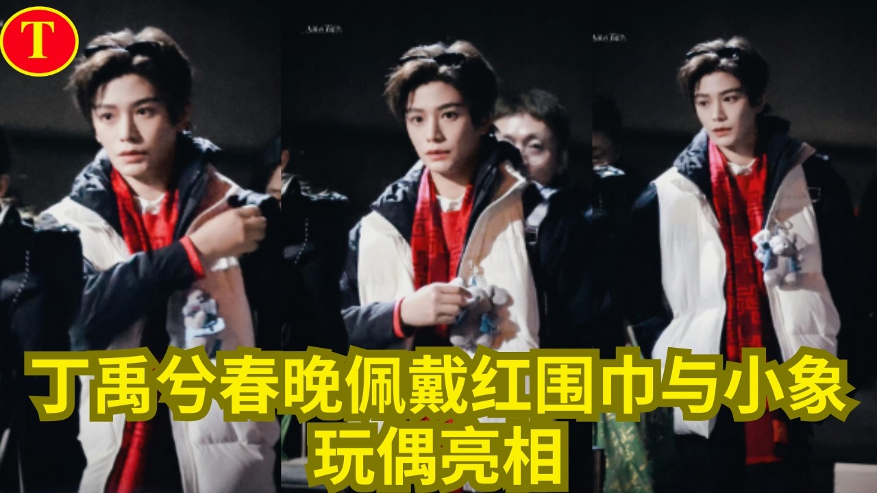 丁禹兮春晚佩戴红围巾与小象玩偶亮相
