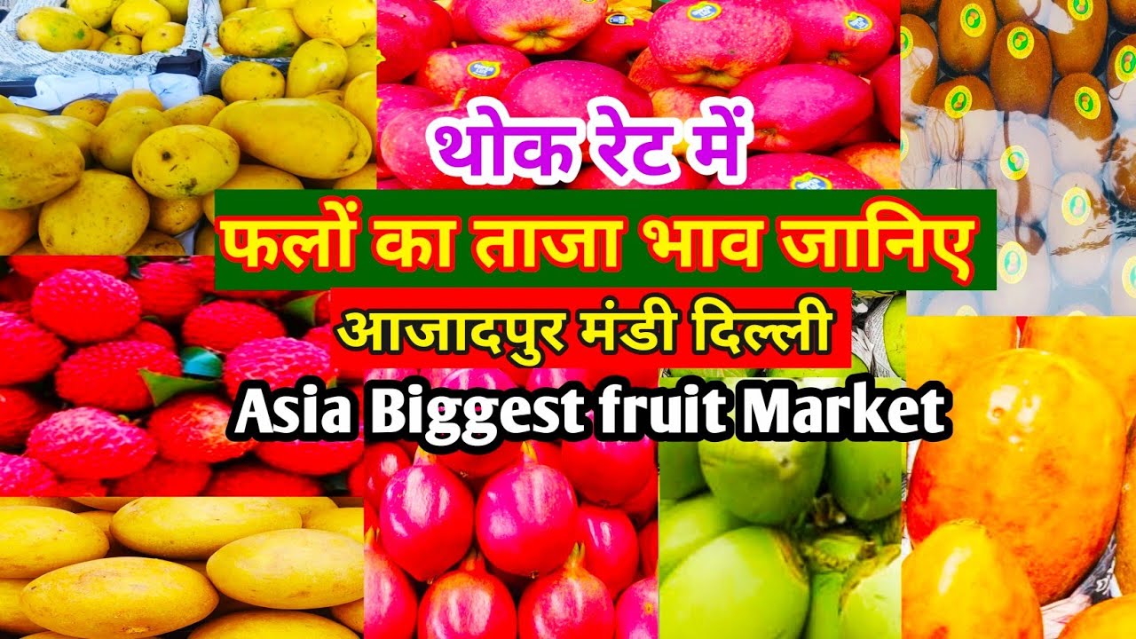 Azadpur Mandi | आजादपुर फल मंडी दिल्ली | Asia's Biggest Fruit Market | Azadpur Mandi Bhav today |