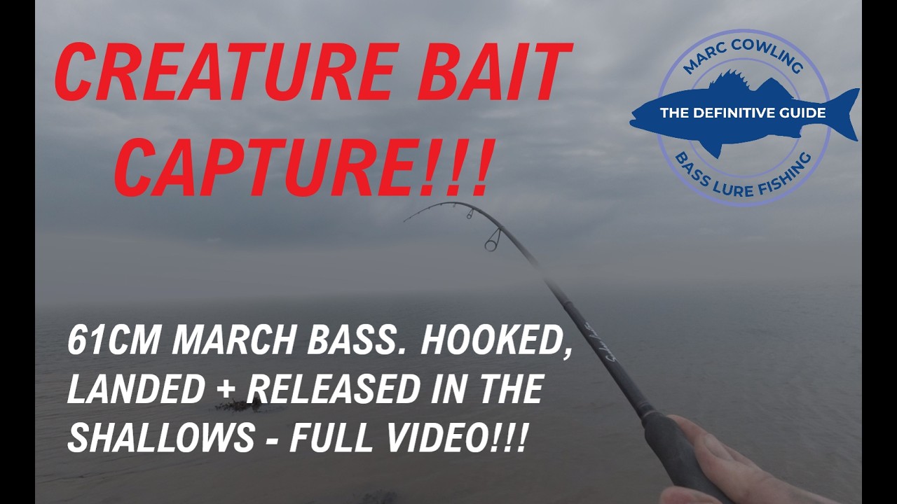 CREATURE BAIT CAPTURE!! 61CM MARCH BASS. HOOKED, LANDED + RELEASED IN THE SHALLOWS.