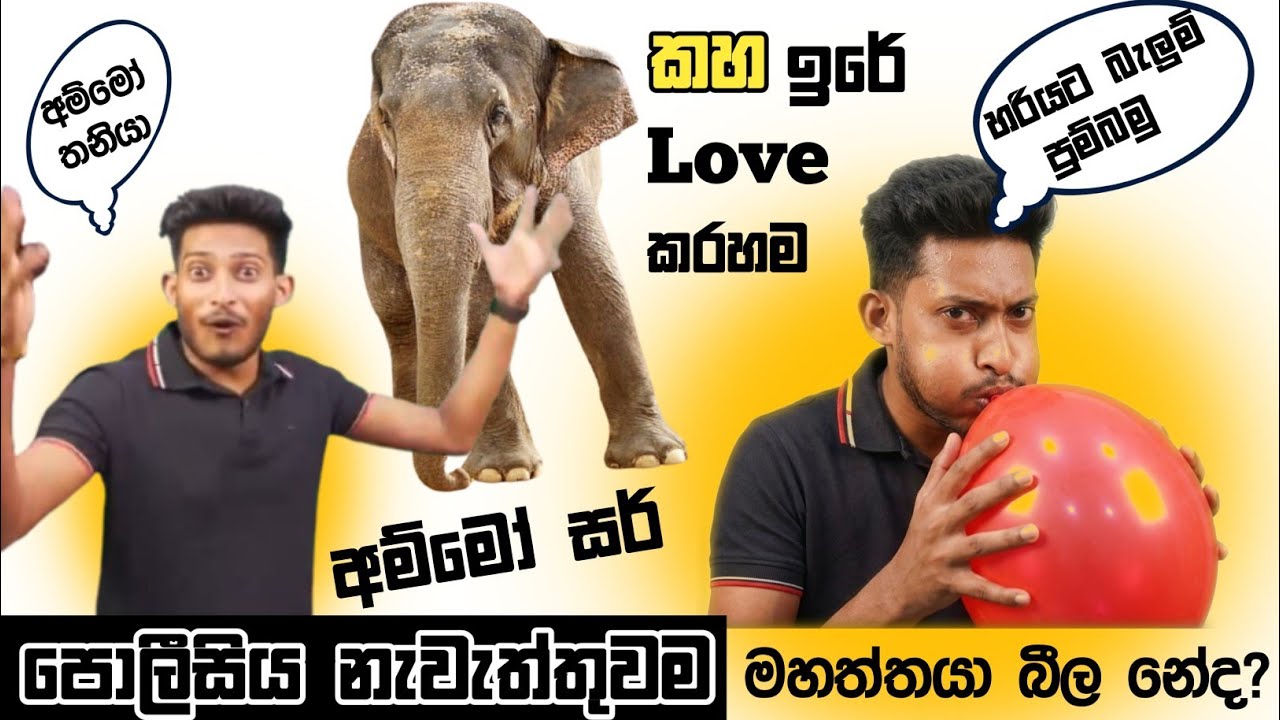 ඊයේ රෑත් මීයා පෙන්නලා ආච්චිට 😅 || අම්මෝ සර් #rashmikasir #rashmikastatus #sinhala 