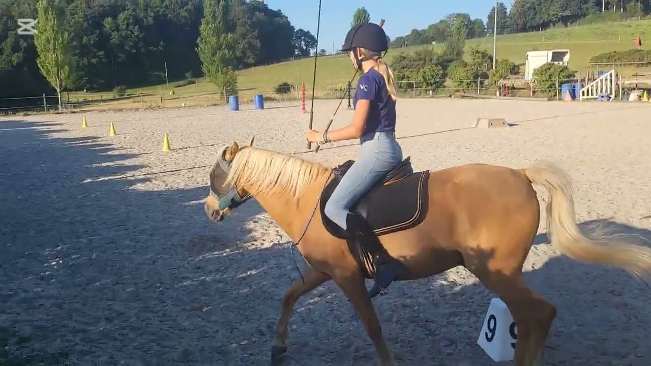 Mia Level 3 Freestyle