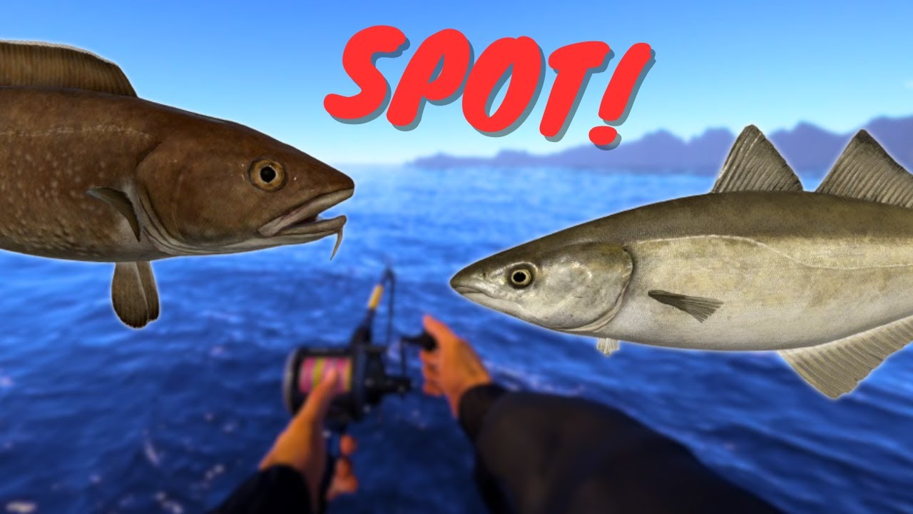 NORWEGIAN SEA FISHING SPOT FOR SILVER! #918 Russian fishing 4