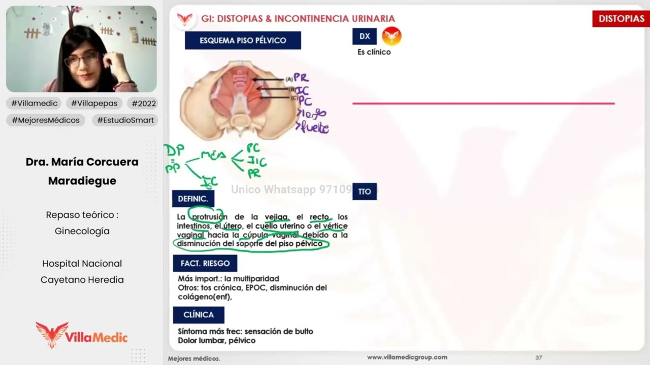 DISTOPIAS E INCONTINENCIA URINARIA - GINECOLOGÍA - VILLAMEDIC