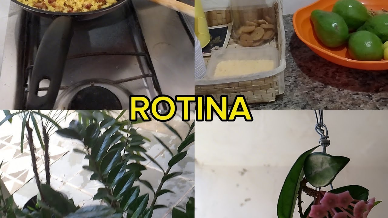 Vlog de rotina/ almoço+ lavando roupas+ plantas #donadecasa #plantas #mãe #foryou 
