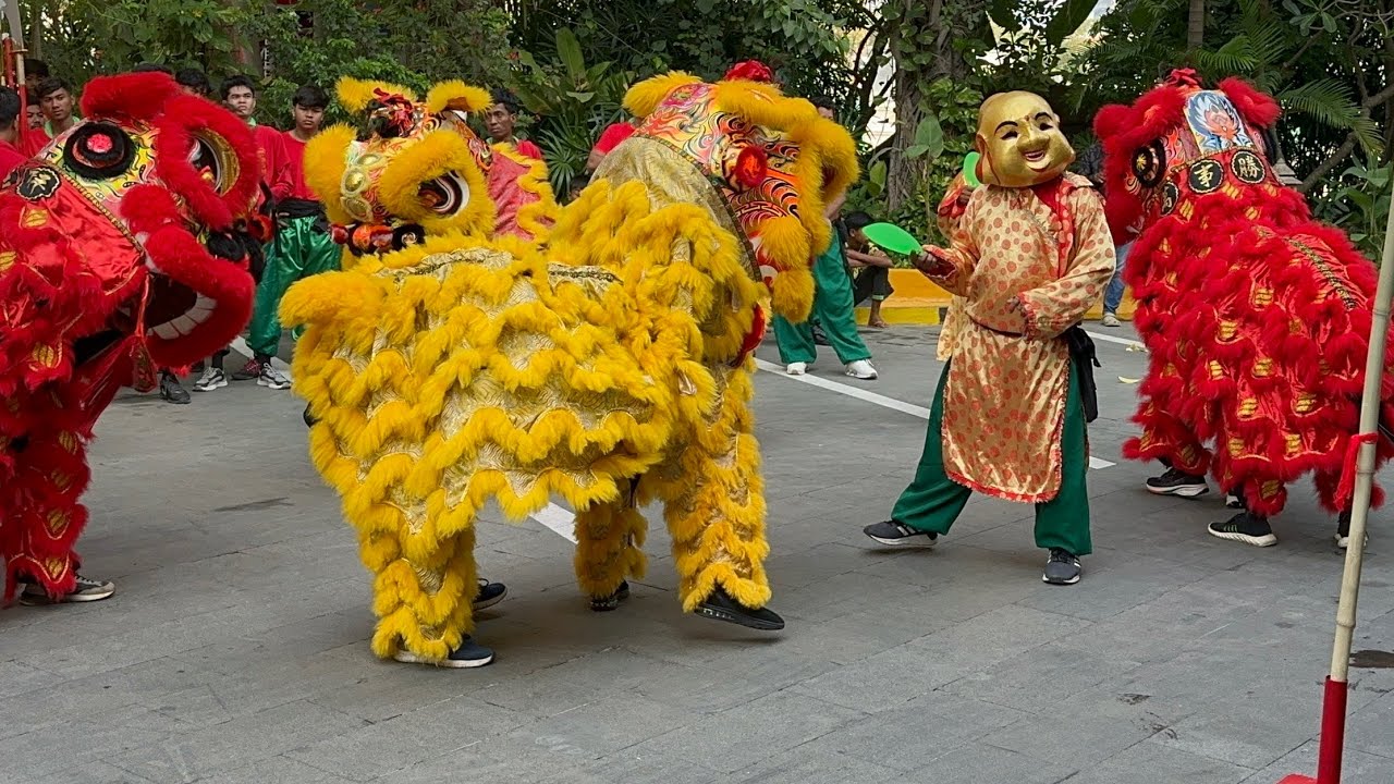 ម៉ុងសាយ - Lion Dance in Battambang 