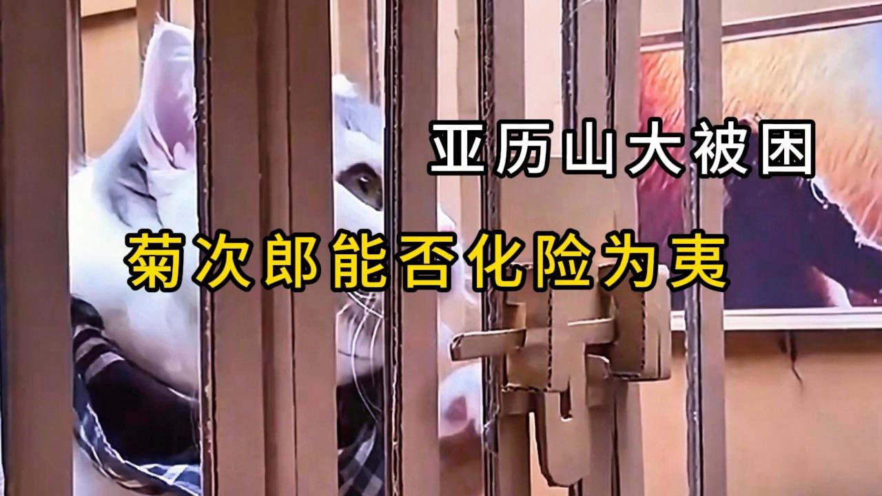 Train Conspiracy Heats Up! New Companion Arrives, Shocking Scheme Surfaces!列車奇謀風雲起！新夥伴登場，驚天陰謀浮出水面！