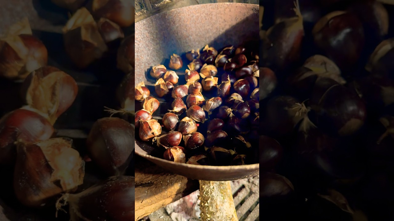 Preparing Chestnuts 🌰😍🇮🇹 #shorts #chestnut #italianfood #italiancusine #recipe #italianfoodlove
