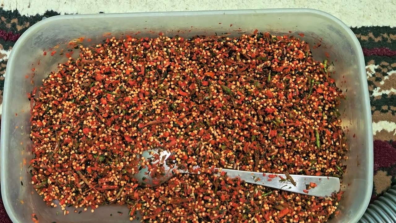 Канарейки- совет начинающим от души.