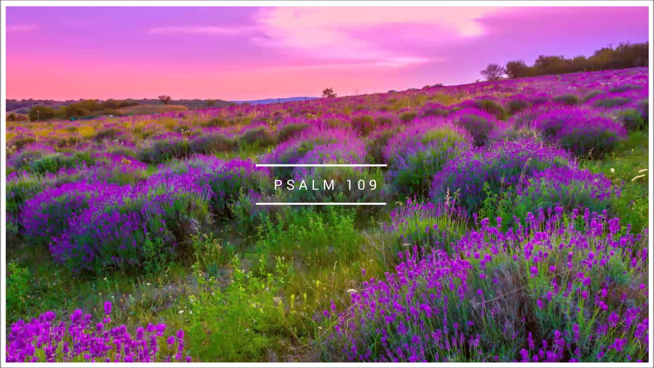 Psalm 109 Biblia warszawska