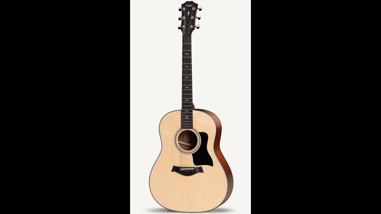 Taylor 317 Grand Pacific at Third Rock Music Center