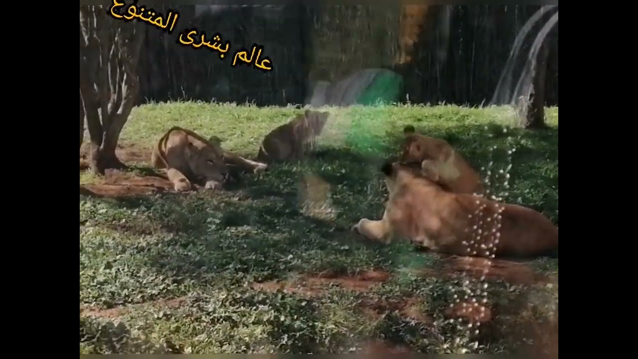 احسن نهار دوزتو مع صحباتي