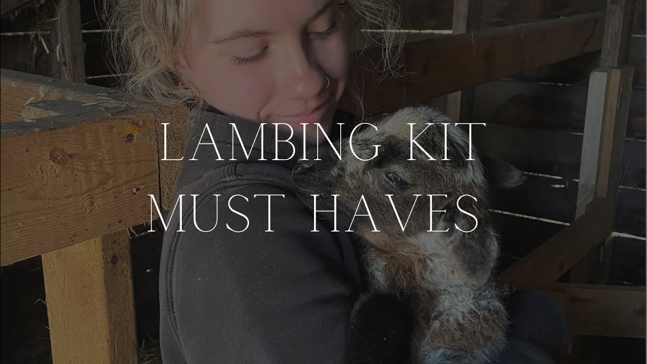 What&rsquo;s In My Lambing Kit | The Essentials For a Successful Year