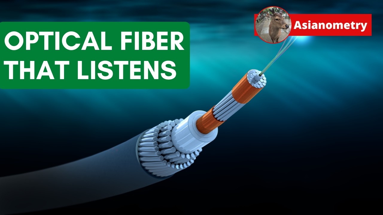 The Dark Fiber Listening Network