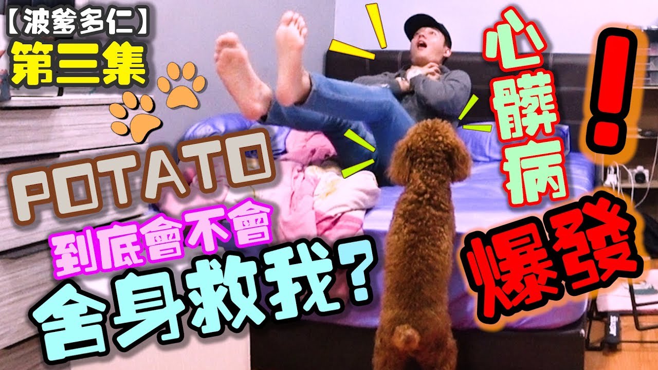 如果我心脏病爆发 不敢跳上床的Potato 會不會不顧一切上床救我？！測試大考驗【波爹多仁 第三集】