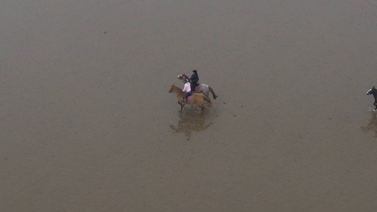 Horse Riding From The Air - Kimmerston Riding Centre - Aerial Film