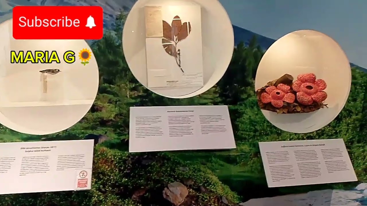 Visit to Daraga Museum 
