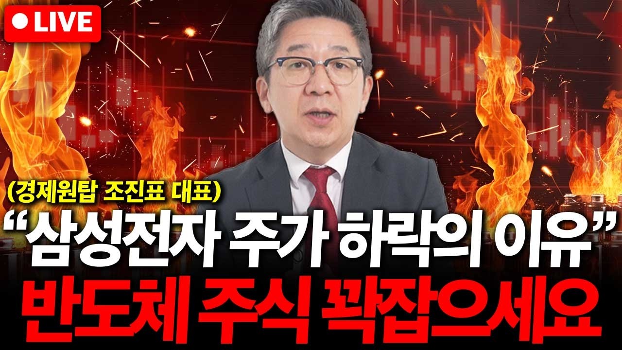 삼성전자 주가 하락의 이유. 반도체 주식 꽉잡으세요. ( 조진표 대표 )