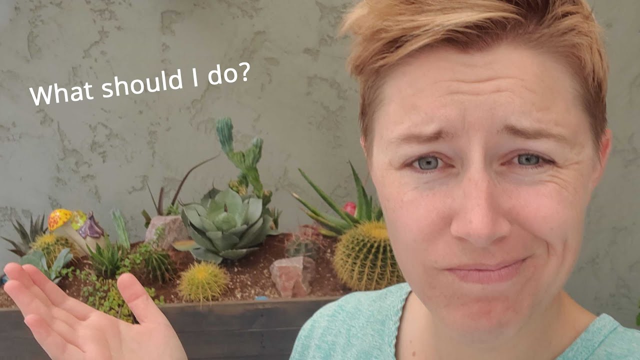 I hate growing succulents outside...