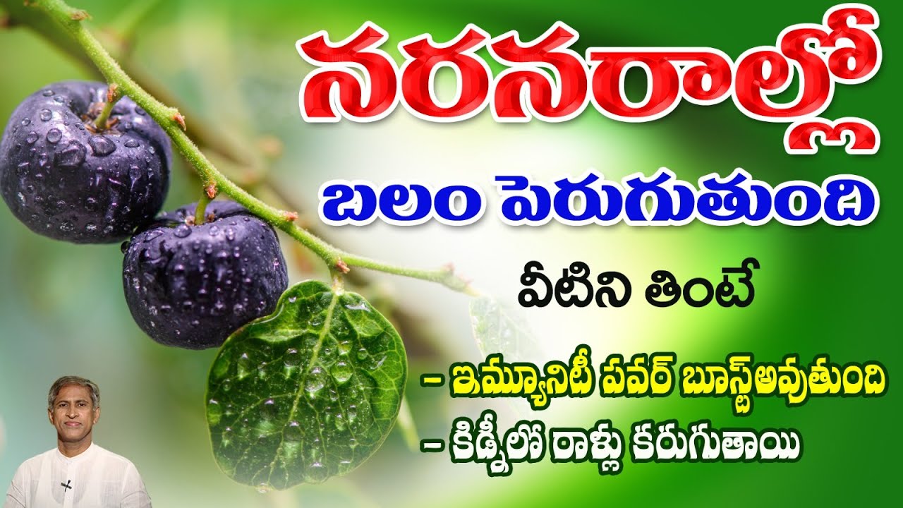 Reduces Nerves Weakness | Boosts Immunity Power | Nela Usiri Benefits | Dr. Manthena's Health Tips