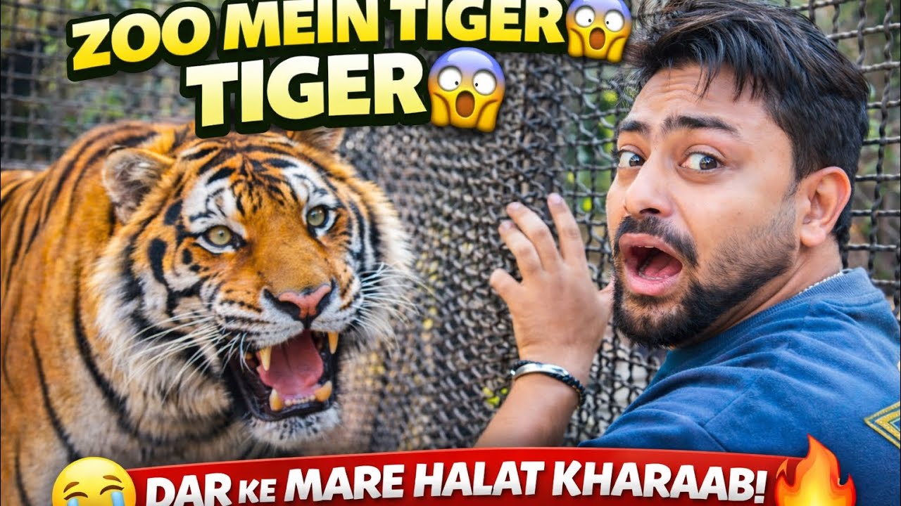 “Zoo Mein TIGER Se Aankh Mil Gayi 😱 | Halat Kharab Ho Gayi 😂” ep2