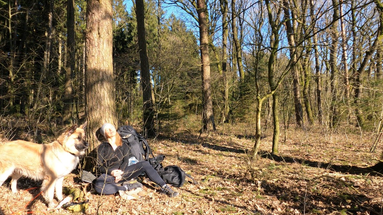 Heidschnuckenweg Etappe 1 mit overnighter