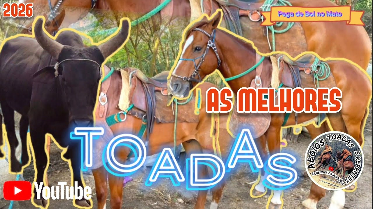 Toadas Com Alon Zôa & Ary Zôa, Cheiro da Vaquejada & Jm Vaqueiro , e Outros Poetas 