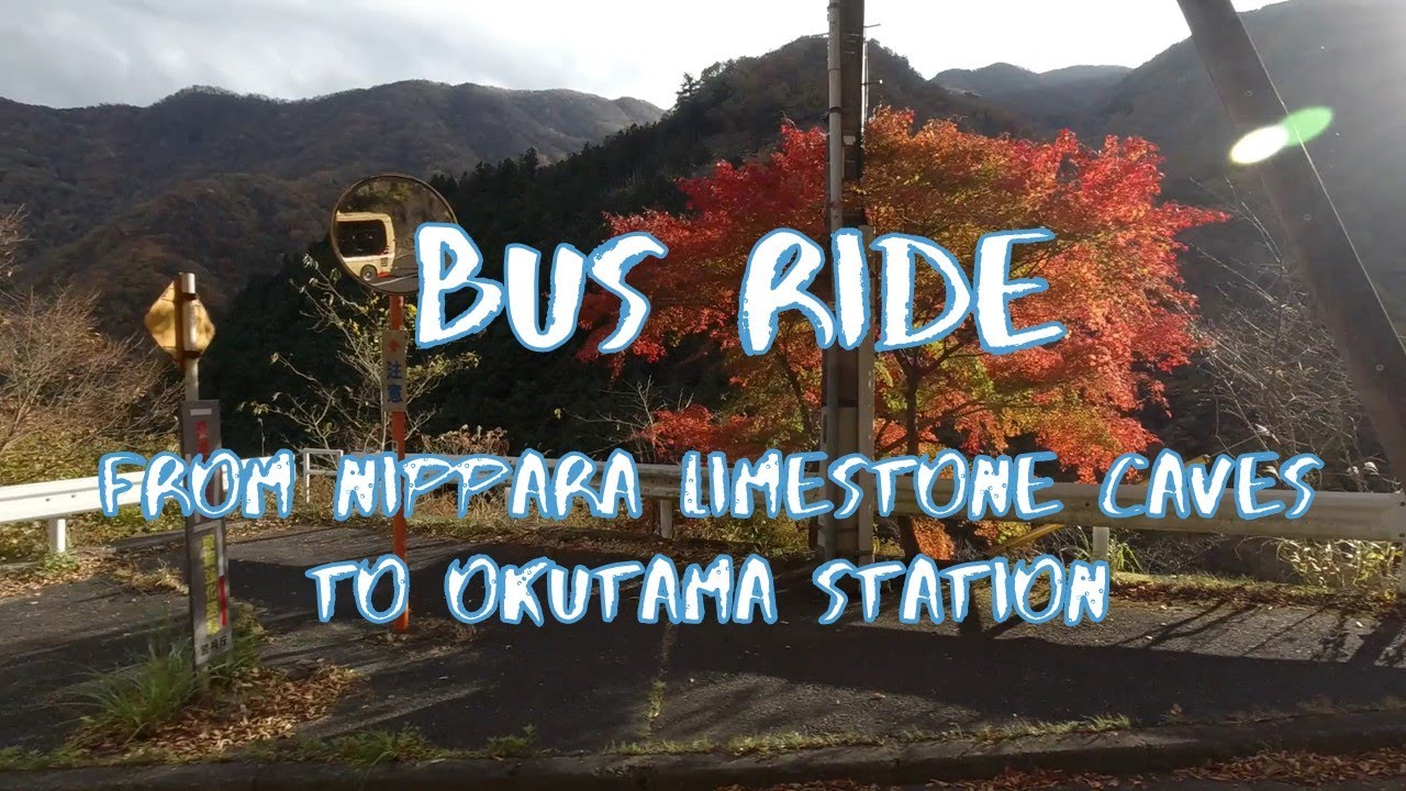 [Vlog] Bus Ride from Nippara Limestone Caves to Okutama Station | Tokyo Sightseeing, Japan