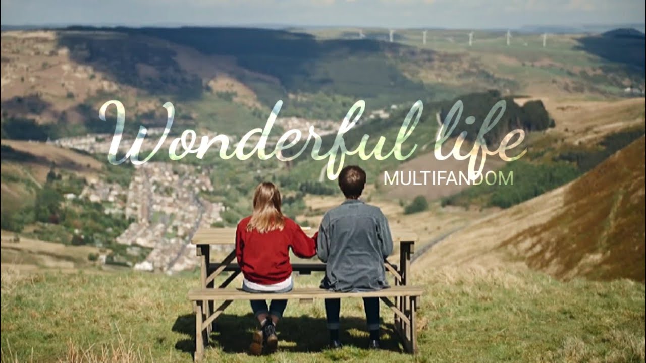 Multifandom | Wonderful life