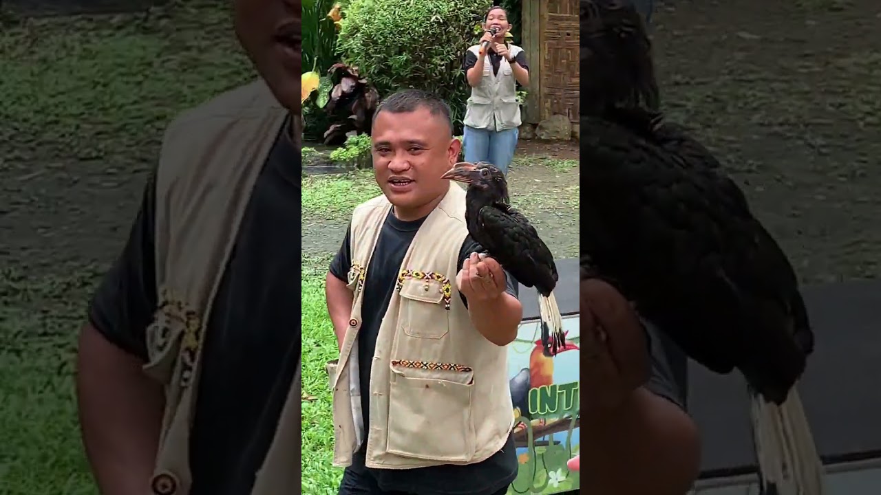 Malagos Birdshows Part 2