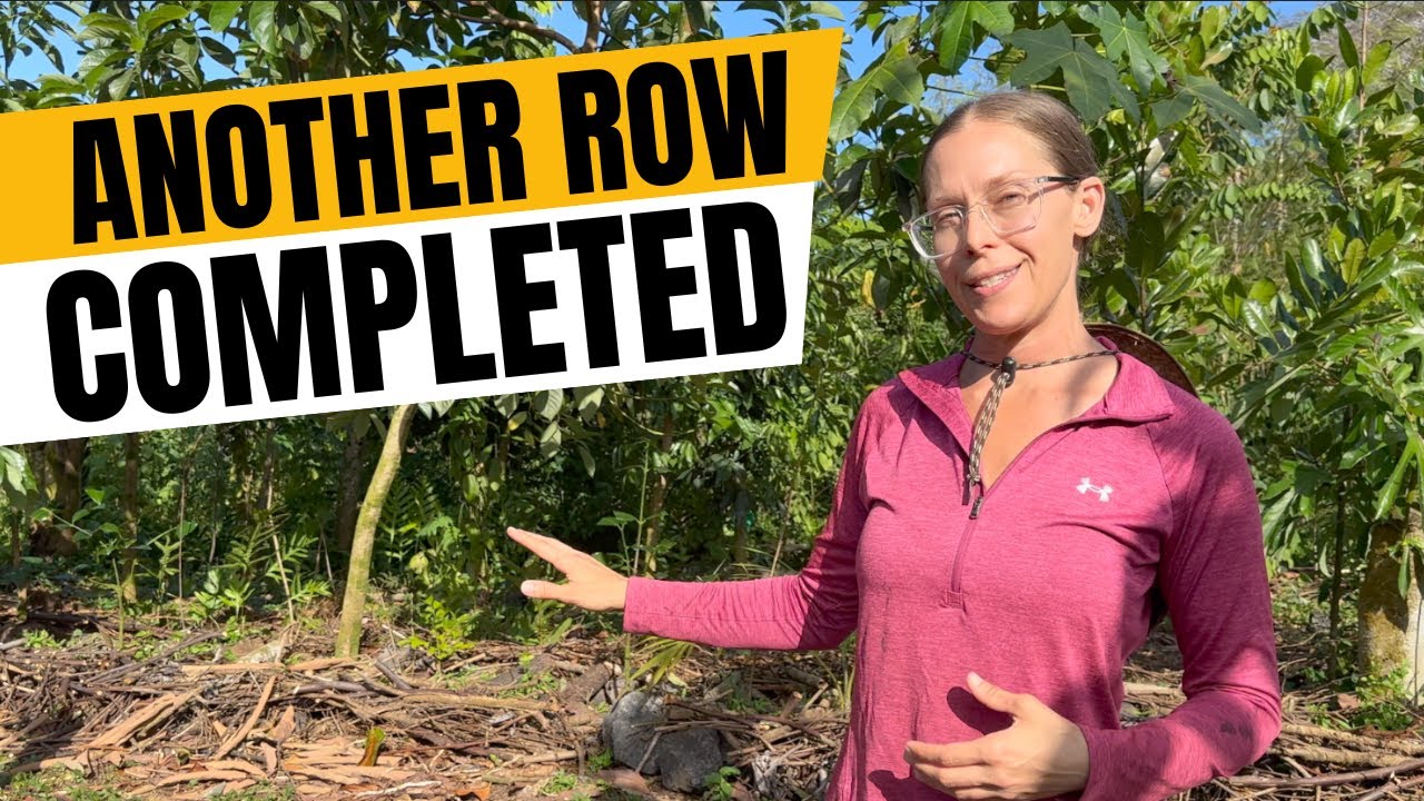 Start to finish: planting and mulching an agroforestry row!