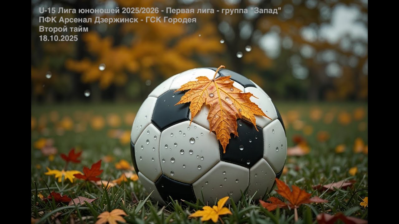Тайм 2 Арсенал Дзержинск - ГСК Городея