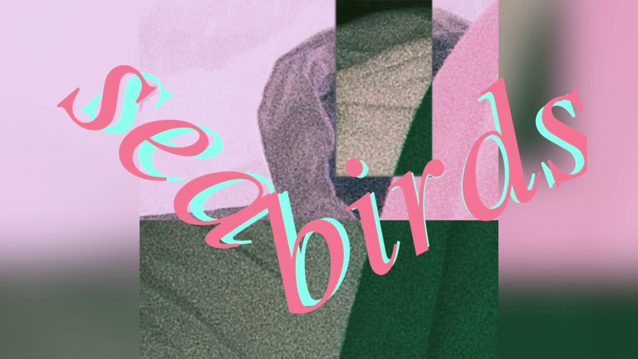 Pizzagirl - Seabirds (Official Audio)