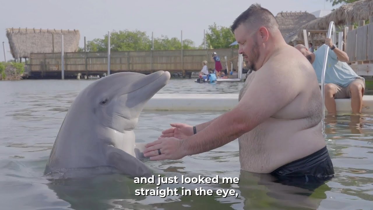 Warriors Swim With Dolphins