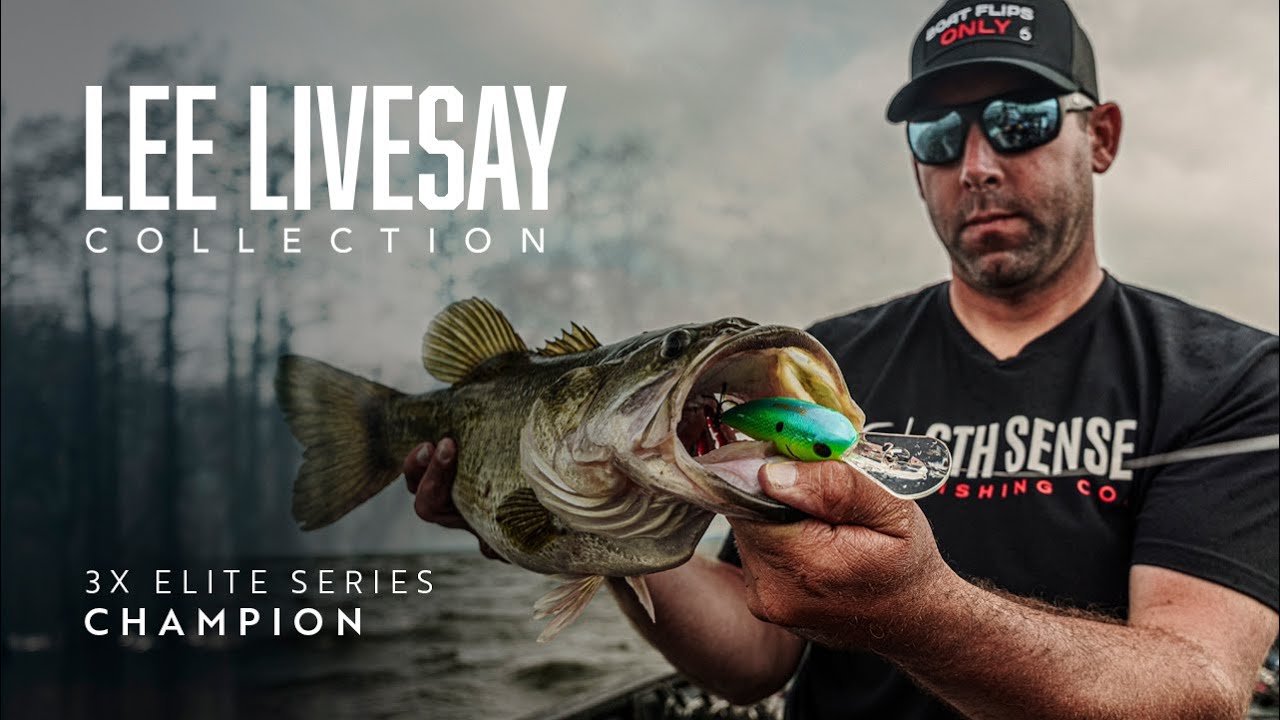 Lee Livesay's GO-TO Baits (Pro Secrets Revealed)