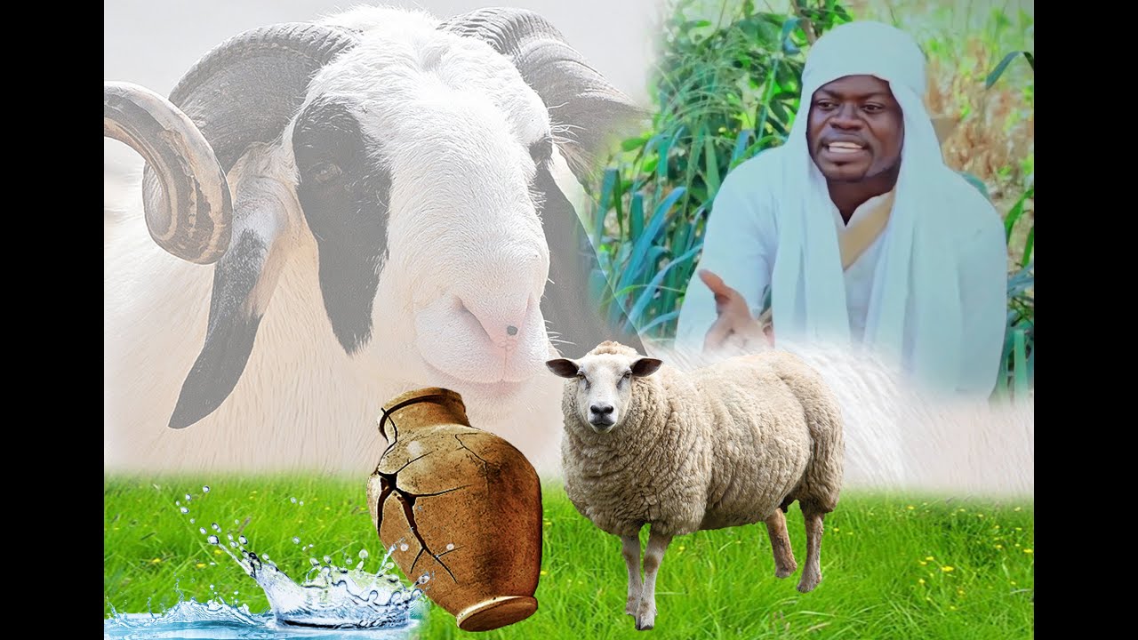 Herr! THE STORY ABOUT THE SHEEP | Beware of the people around you | Shadrack Owusu Amoako -NSUO HYIE