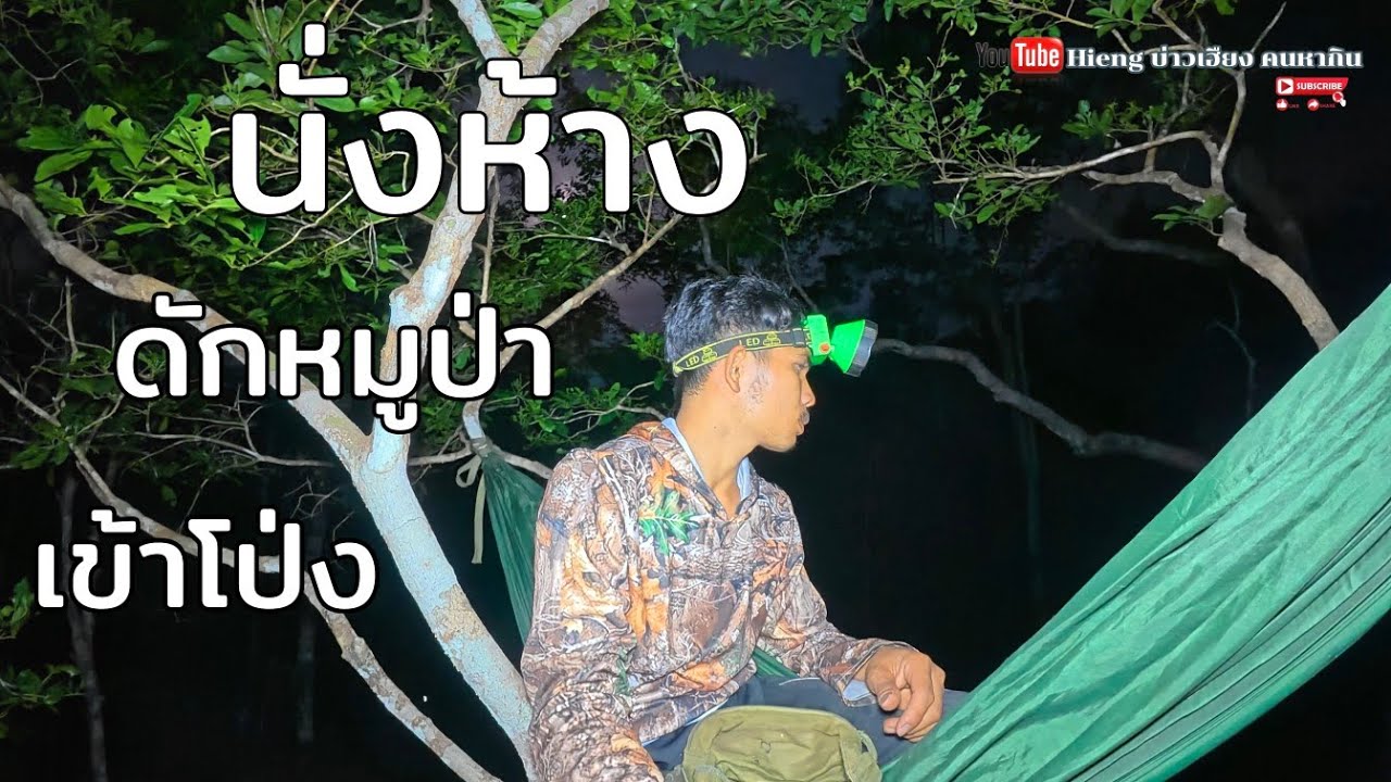 นั่งห้างดักหมูป่าเข้าโป่ง//ນັ່ງຫ້າງດັກຫມູປ່າເຂົ້າໂປ່ງ Hieng บ่าวเฮียง คนหากิน