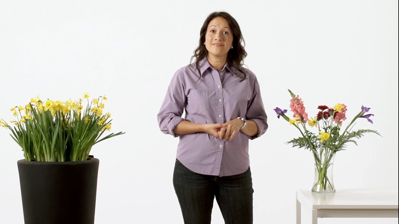 How Home Equity Helps - TD Bank Canada