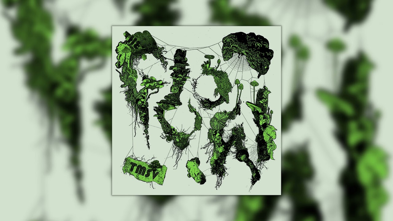 TMSV - The Glow [Audio]