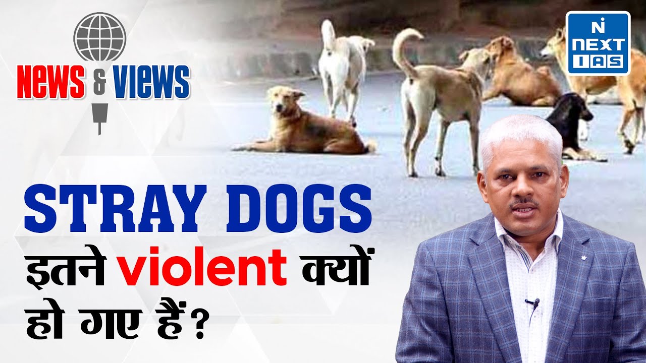 Stray Dog Attack | Stray Dogs Problem In India | News and Views | UPSC
