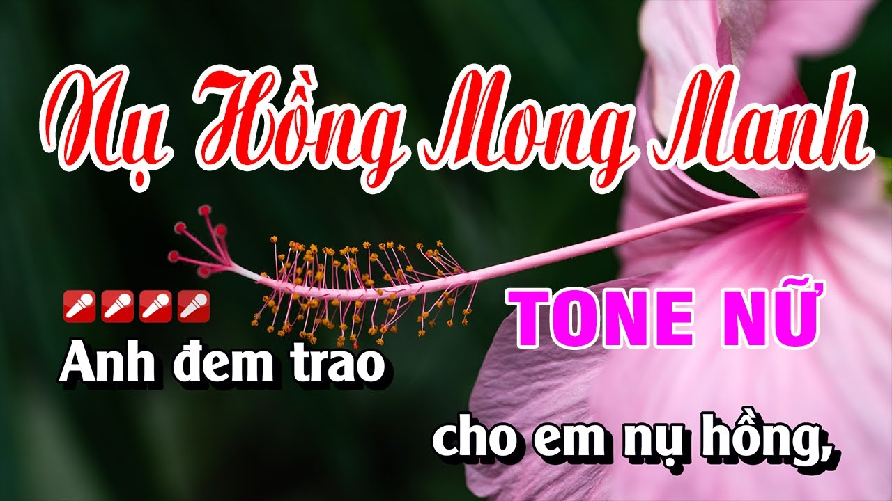 Karaoke Nụ Hồng Mong Manh Tone Nữ Nhạc Sống Dễ Hát | Hoàng Luân